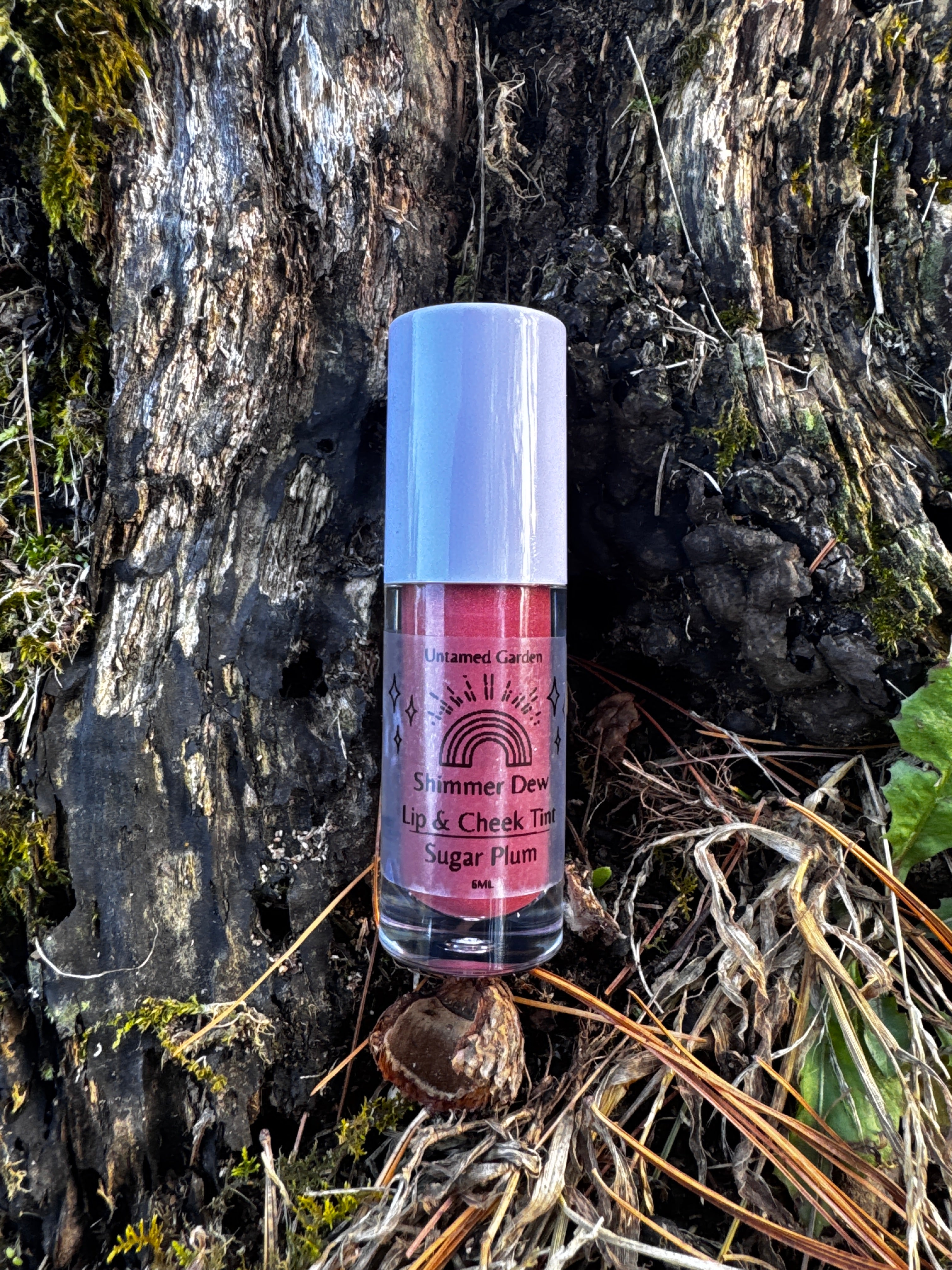 Kids Shimmer Dew Glitter and Blush Kit