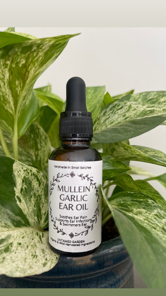 Mullein Garlic Ear Oil