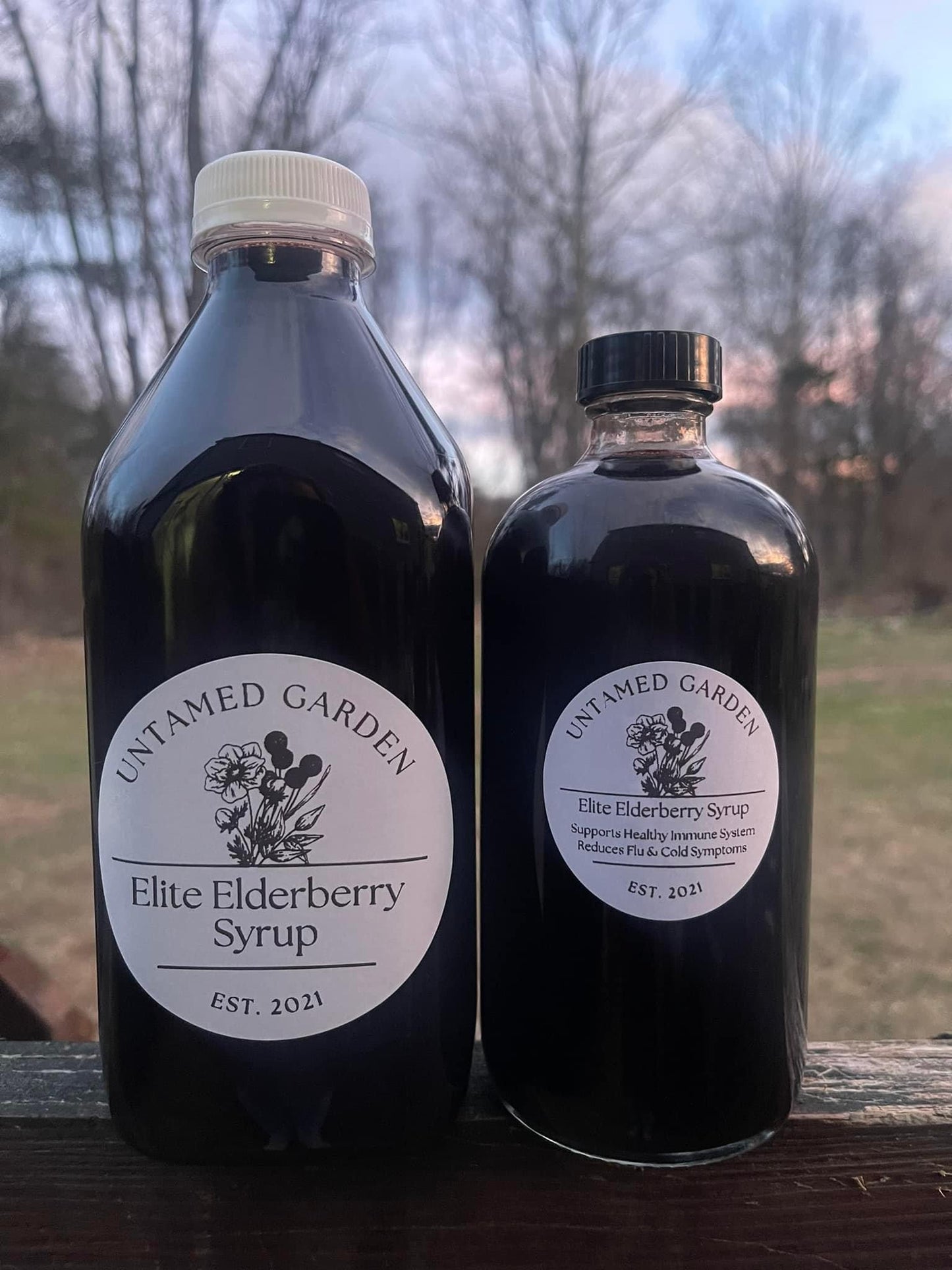 Elite Elderberry Syrup