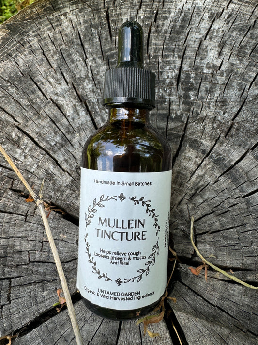 Mullein Tincture